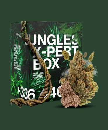 CBD Cannabis Boxes