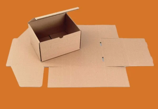 Cardboard